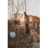 imageStansport 5 Gallon Dispensing Water Carrier 295