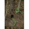 imageStansport 6in1 Survival Tool 327