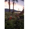 imageStansport Camping Tent Stake  MultipackPlastic