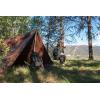 imageStansport Camping Tent Stake  MultipackPlastic
