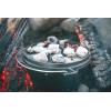 imageStansport PreSeasoned Cast Iron Dutch OvenDutch Oven