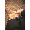 imageStansport Reusable Hand Warmers  2 Pack 6262
