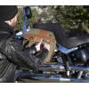 imageStansport Saddle BagOlive Green