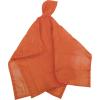 imageStansport Vinyl PonchoOrange