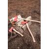imageStansport Wood Handle AxeShort Handle  Broad Head