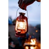 image:imageStansport Replacement Glass Globe For Item130 131